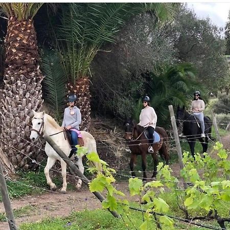 El Batan Resort Santa Brígida Kültér fotó