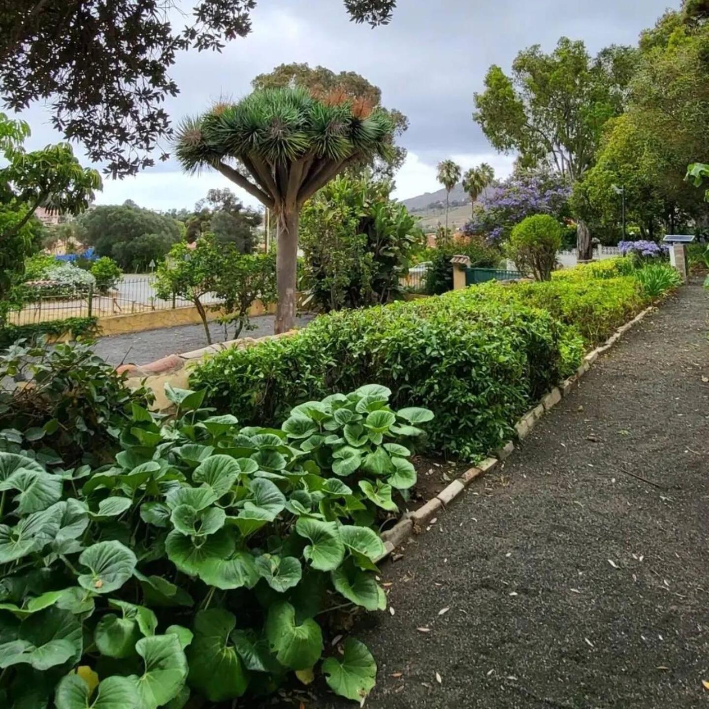 El Batan Resort Santa Brígida Kültér fotó